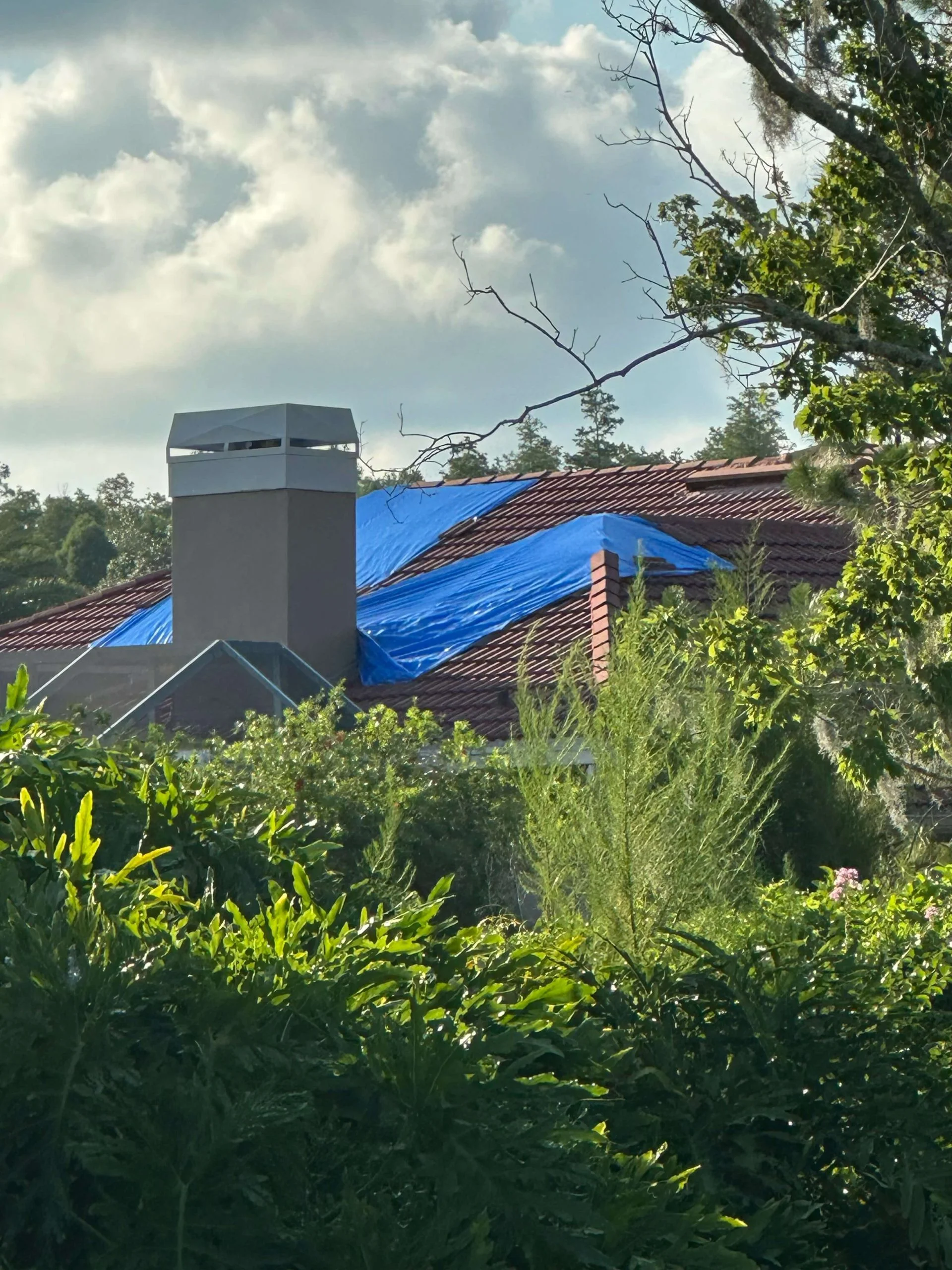 pressure- wash - roof