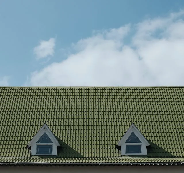 Roof Cleaning tampa